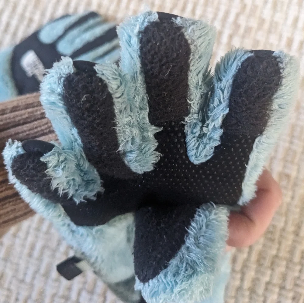 The North Face Gloves